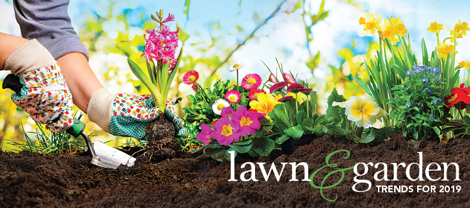 Explore Lawn & Garden Ideas